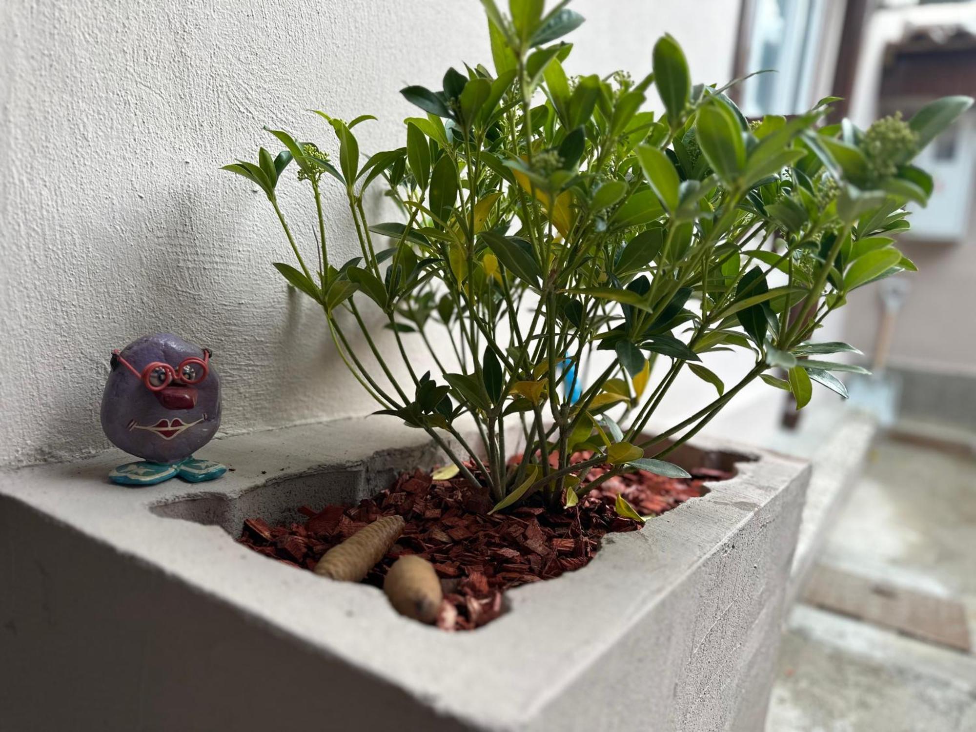 Apartma Sarajevska Mahala